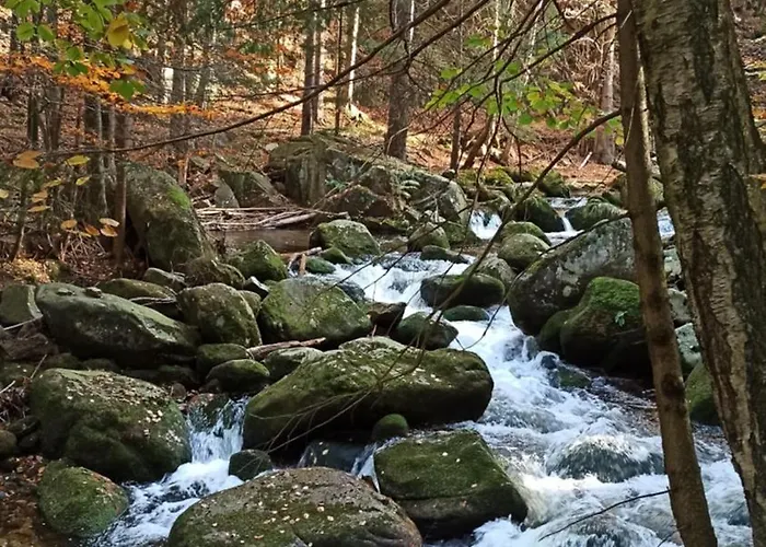 Siodme Niebo Accommodatie bij particulieren *