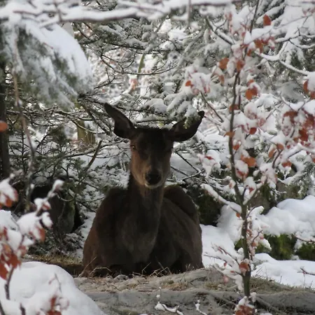 Siodme Niebo בית אירוח שצ'קלארסקה פוראובה