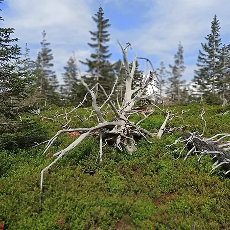 Kwatera prywatna Siódme Niebo *