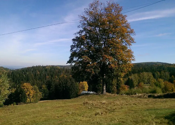 Siodme Niebo Проживание в семье