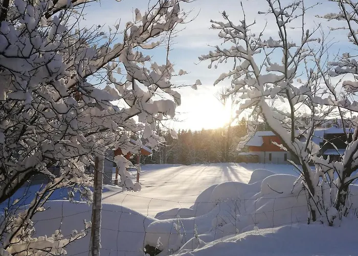 Проживание в семье Siodme Niebo *
